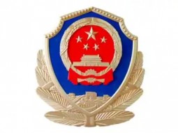 大型警徽：致敬英雄，彰显正义