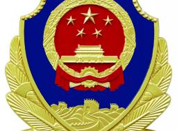 哪种材质的大型警徽最耐用？